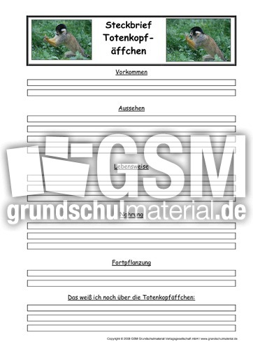 Totenkopfäffchen-Steckbriefvorlage.pdf